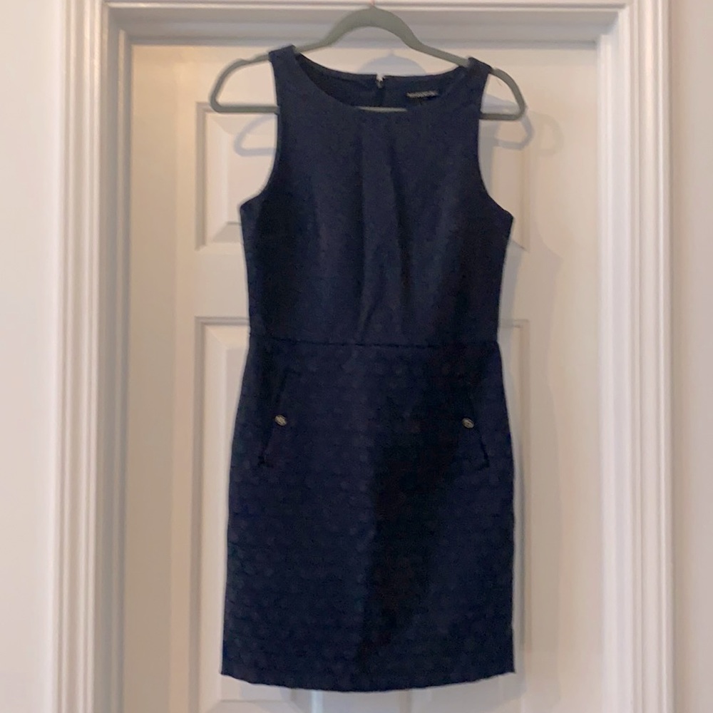 Navy Banana Republic Dress